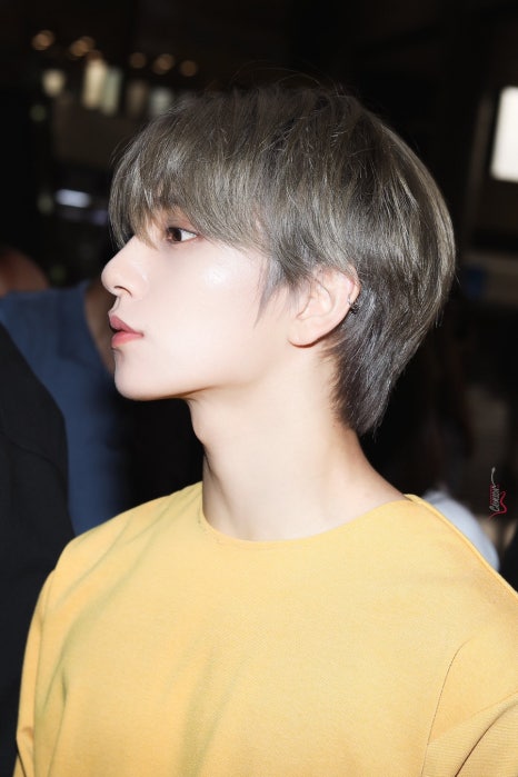 쿠키투어 이미지