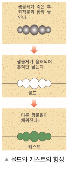 몰드와캐스트 이미지