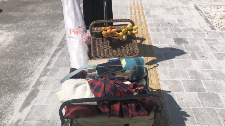 피크닉109 이미지