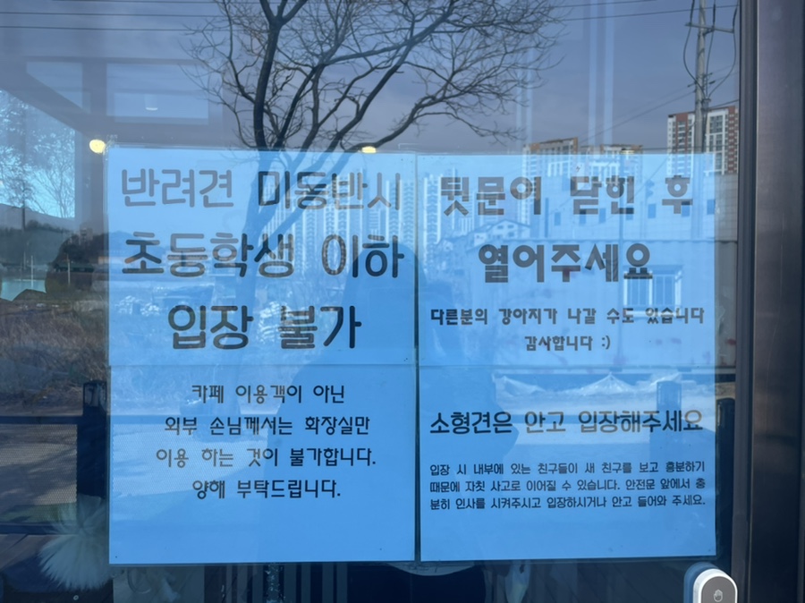 퍼피포레스트 이미지