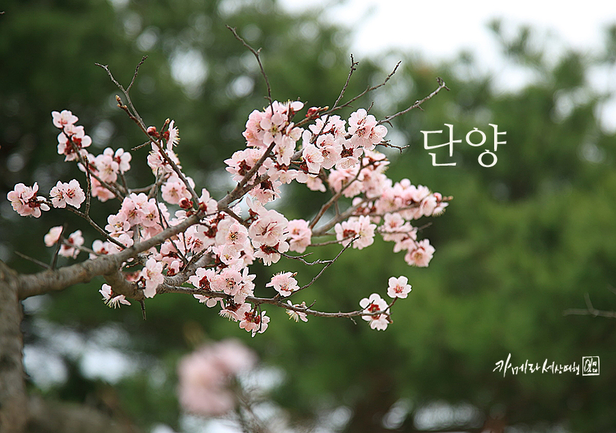 장회나루휴게소 이미지