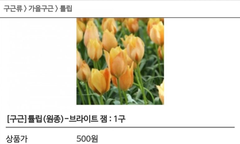 브라이트잼 이미지