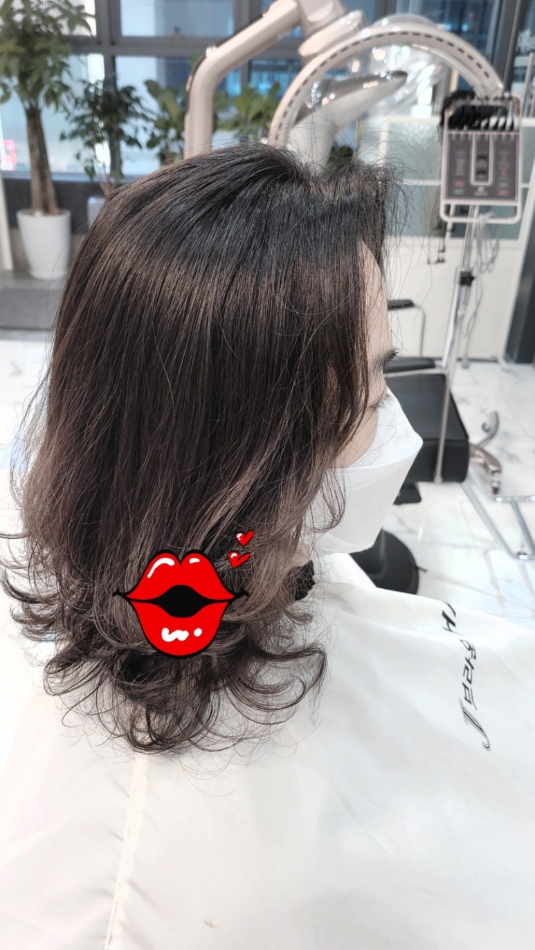 제이브라운 이미지