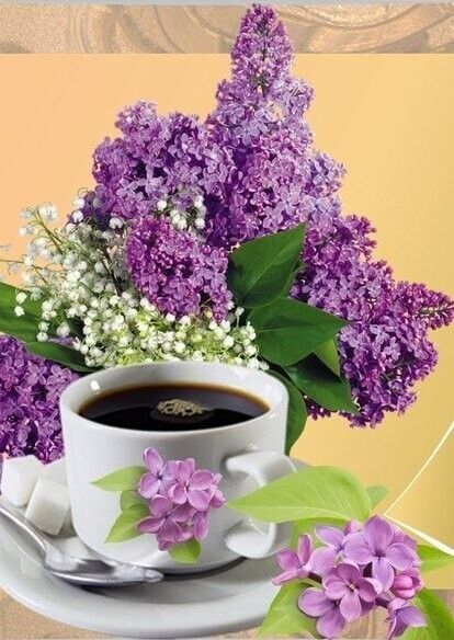 수보리 이미지
