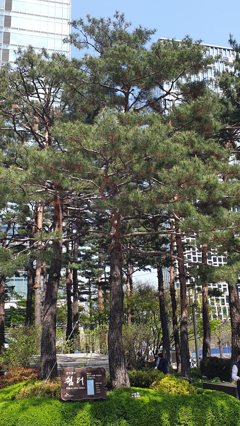 한국중소기업멘토링협회 이미지