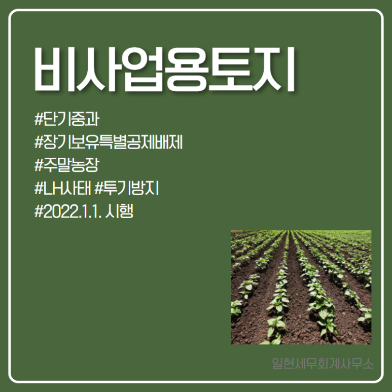 일현세무회계사무소 이미지