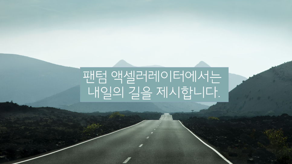 선일회계법인 이미지