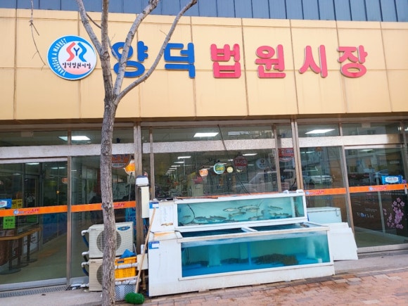 연이네김밥 이미지