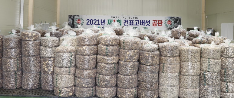 진도상사 이미지