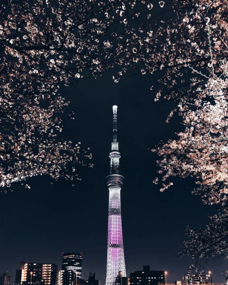 이*행 이미지