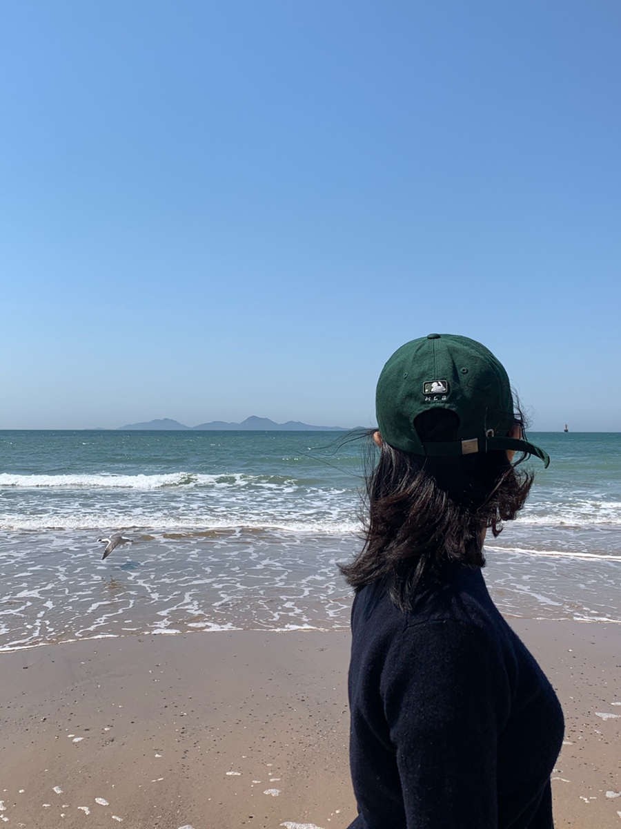 부안생합집 이미지