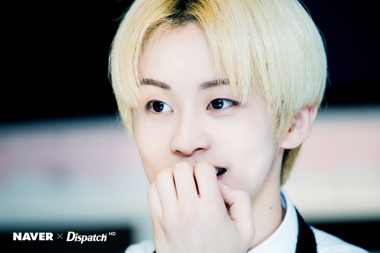 드림사진카페 이미지