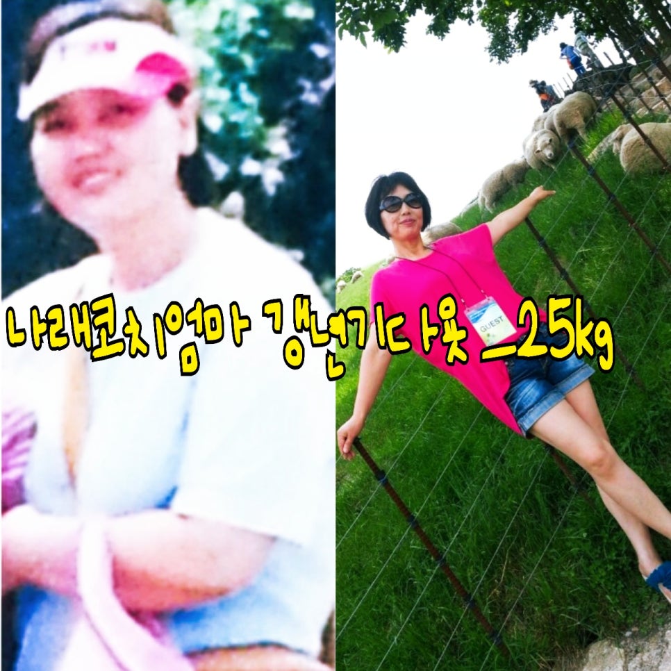 플랜휴 이미지