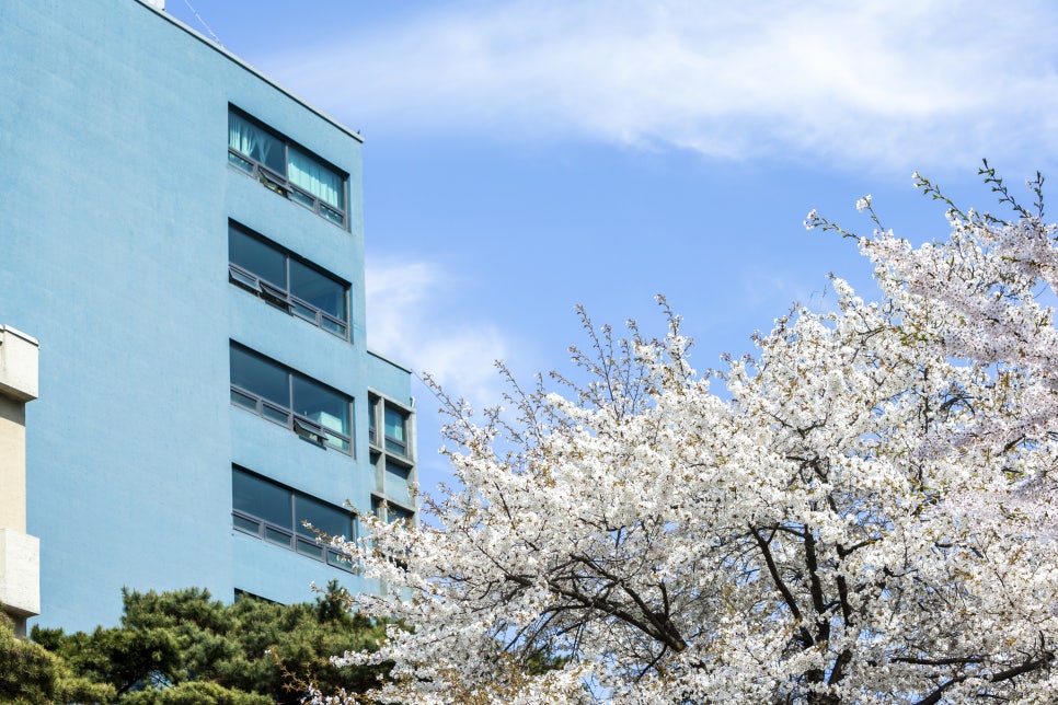재능대학교 학생관 이미지