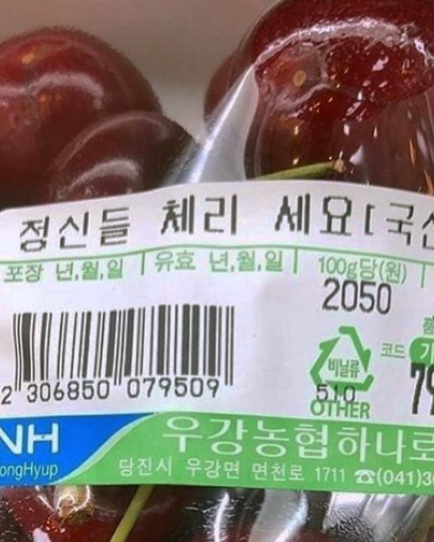 홀리데이비지터 이미지