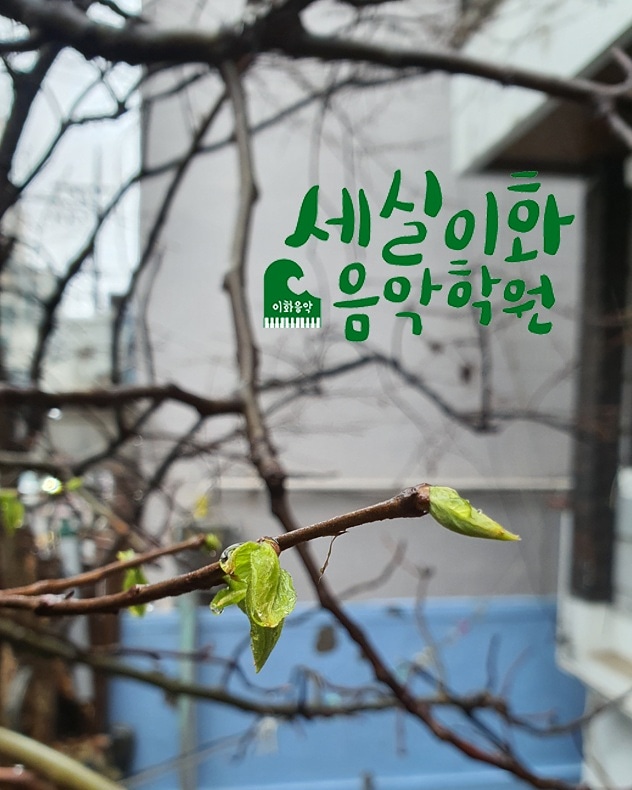 세실피아노교습소 이미지