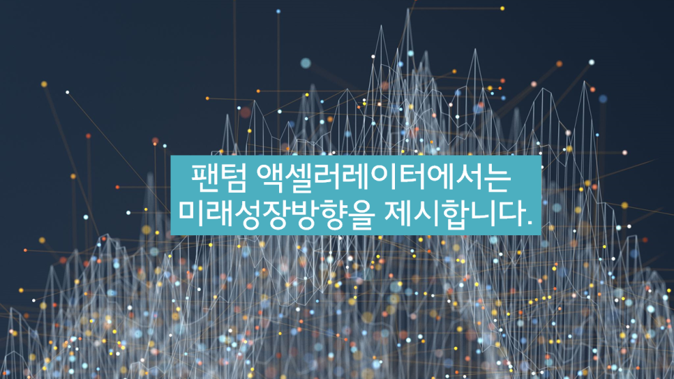 선일회계법인 이미지