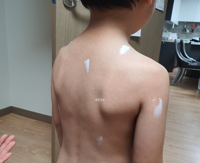 아르아토 이미지