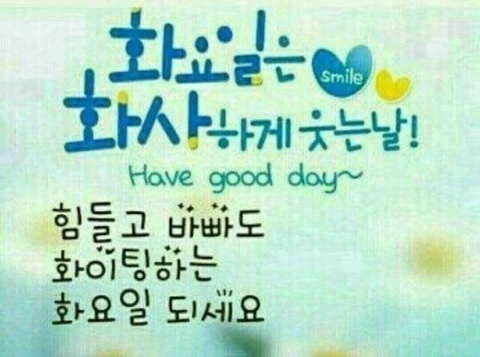 피오또 이미지