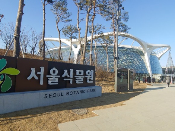 올리브식물원 이미지