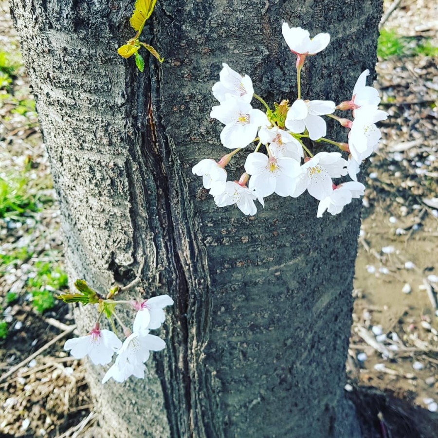 가평군새마을금고 이미지