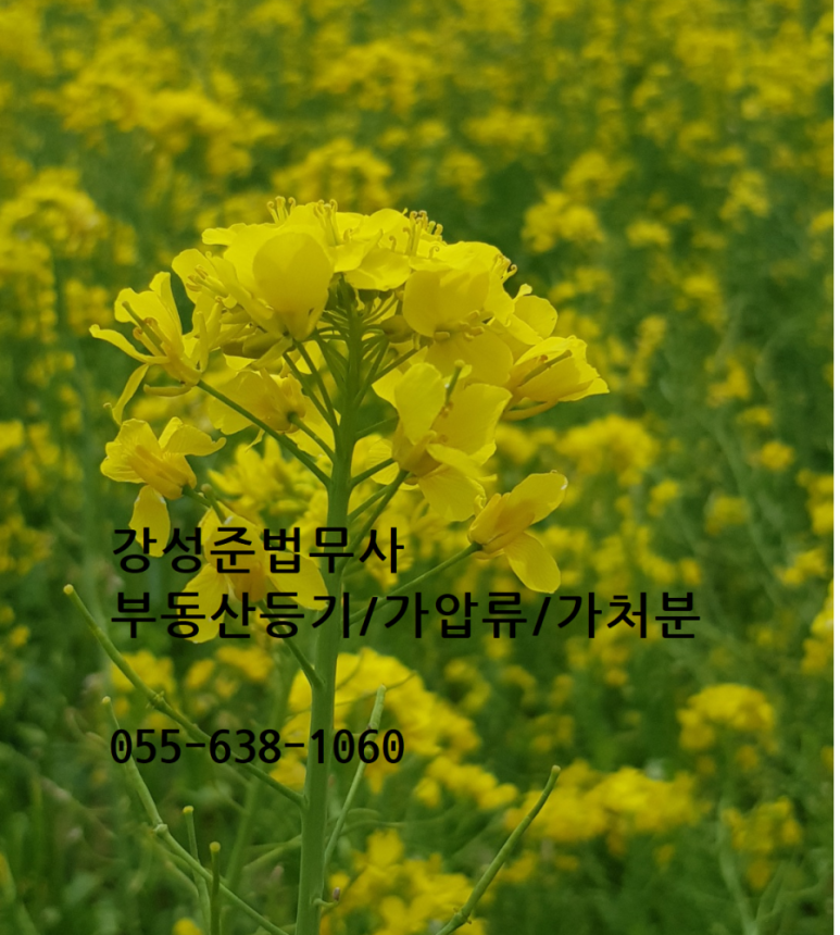 법무사강성준사무소 이미지