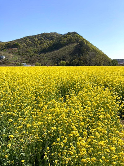 생림국수 이미지