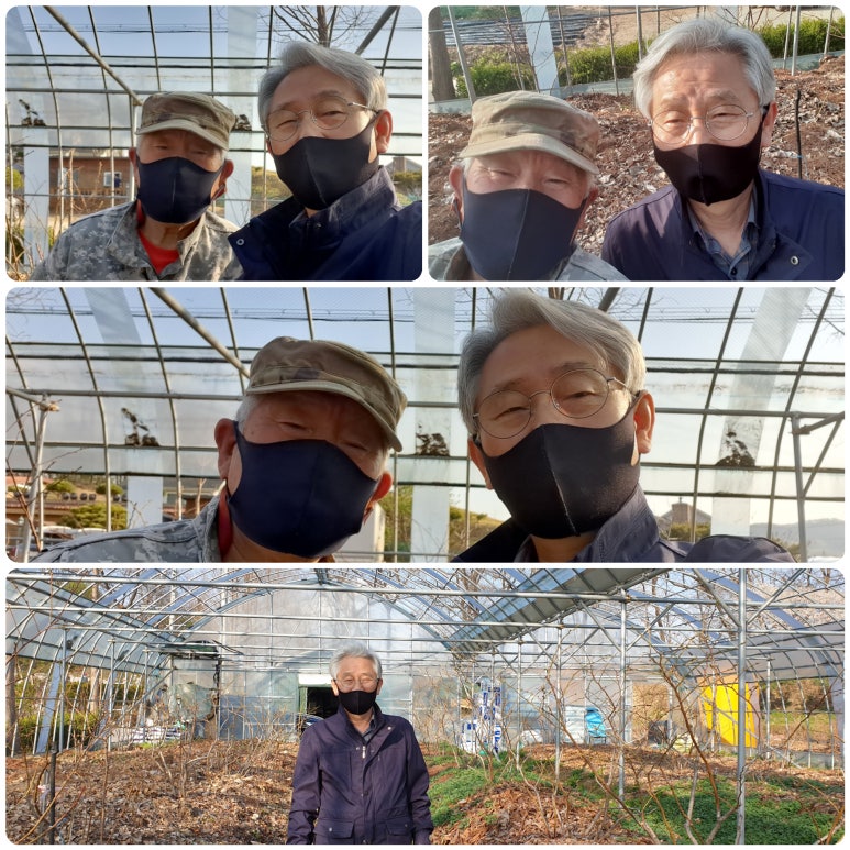 맹골농원 이미지