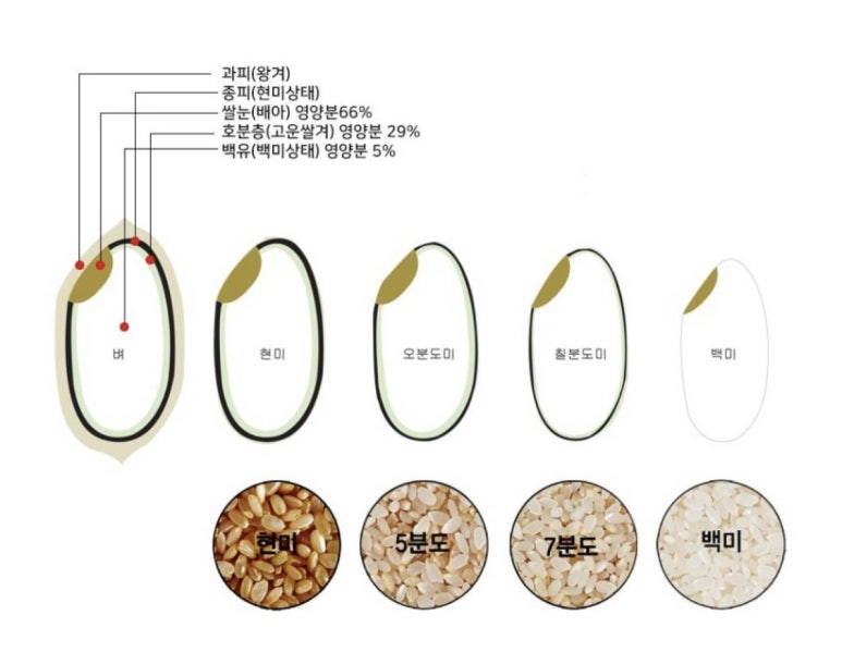 자연애보감 이미지