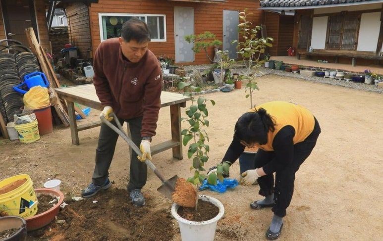 혜리원한옥민박 이미지