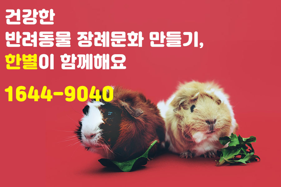 경산장례협동조합 이미지