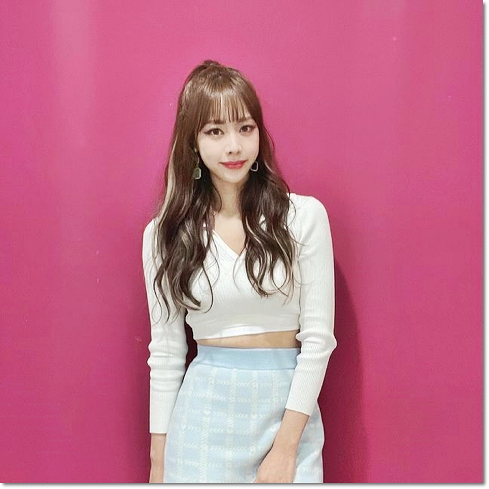라엘붙임머리 이미지