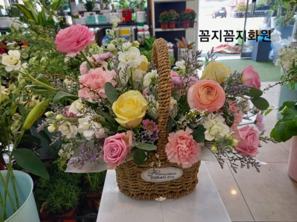꼼지꼼지화원 이미지