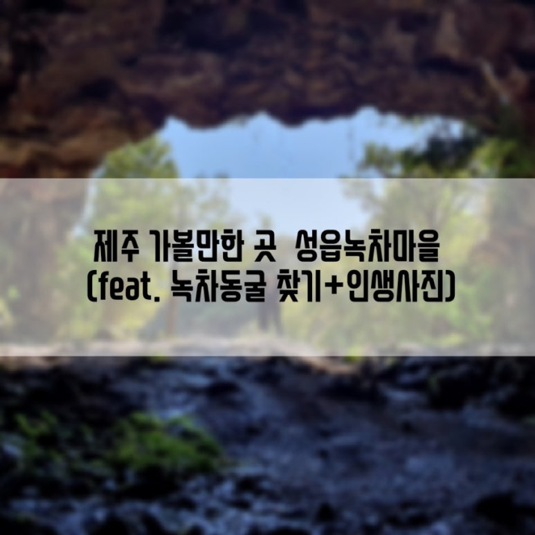 성읍녹차마을영농조합법인 이미지