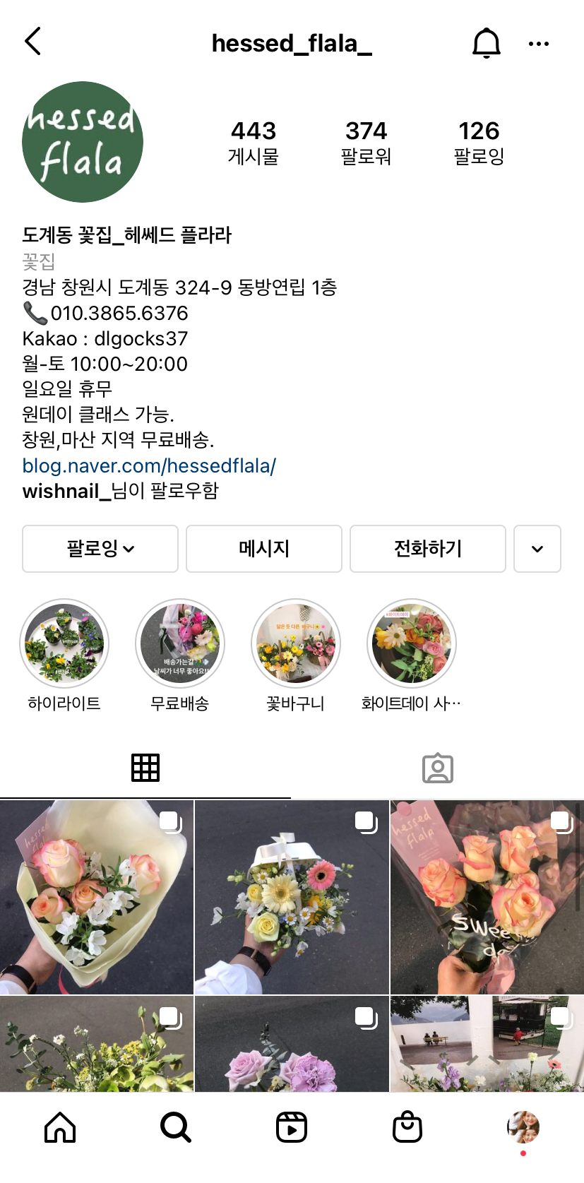 헤쎄드플라라 이미지