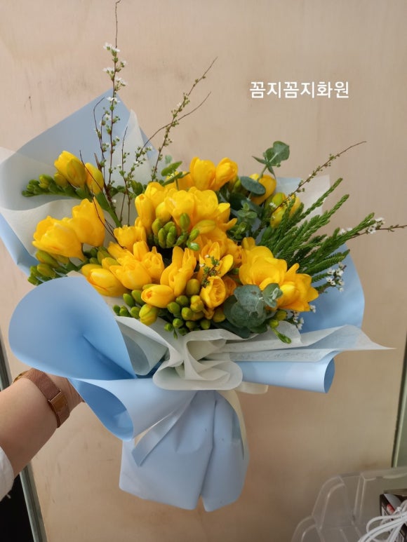 꼼지꼼지화원 이미지