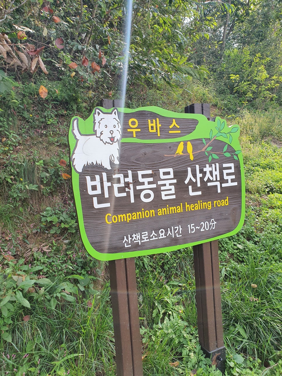 꽃길장례 이미지