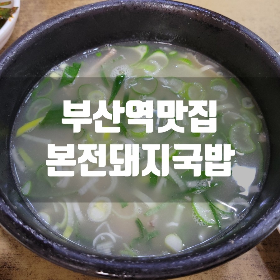 아빠돼지엄마돼지다되지 이미지