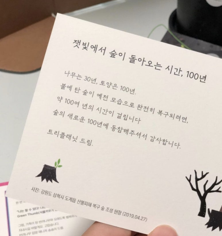 나무플래닛 이미지