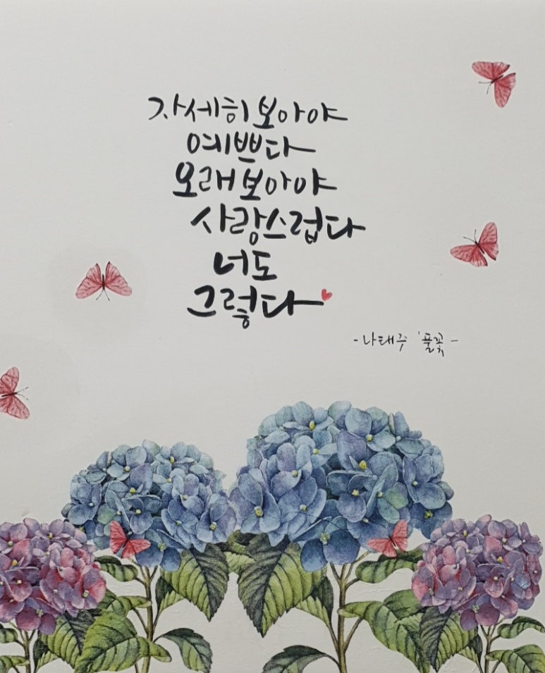 나이테플라워 이미지