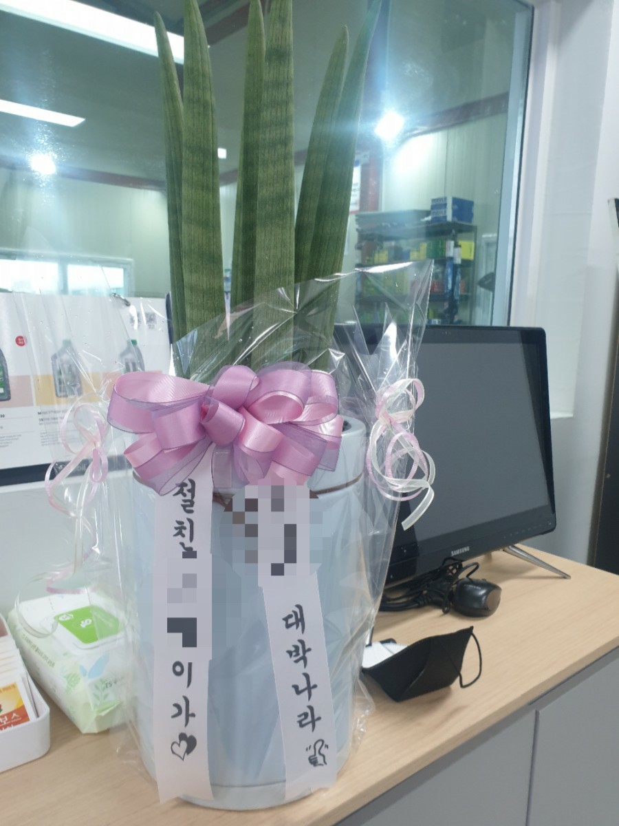 브이카센타 이미지