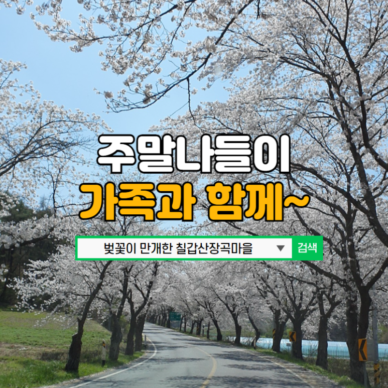 칠갑산장곡마을 이미지
