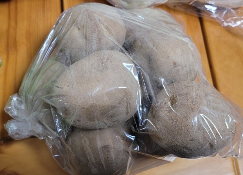 신비로마트 이미지
