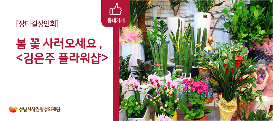 김은주꽃플라워 이미지