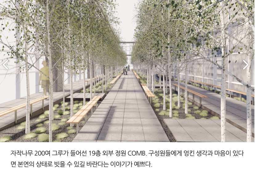 레이케이크리에이티브 이미지