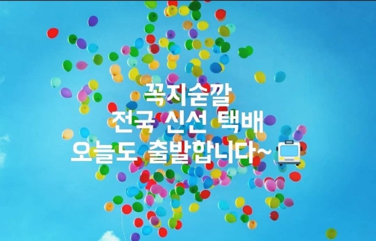 꼭지숟깔 이미지