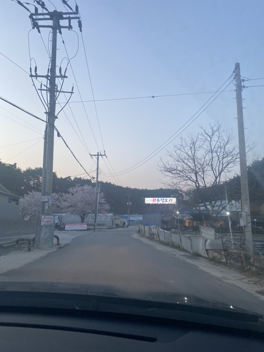 연곡유정오리 이미지