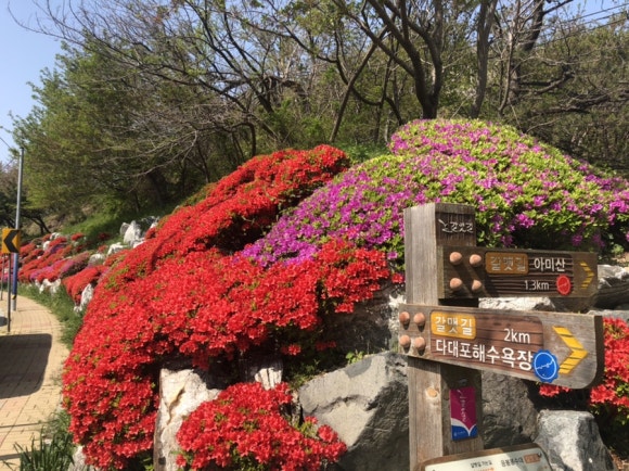 불막열삼몰운대점 이미지