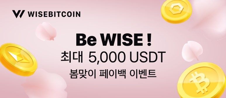 와이즈구조 이미지