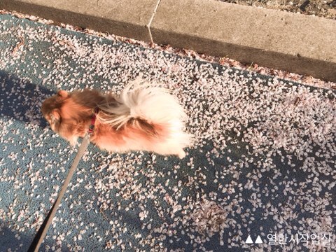 열한시작업실 이미지